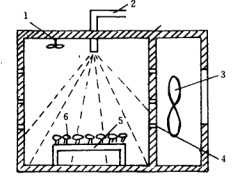 Model of microwave drying drying heat transfer process in yellow peach