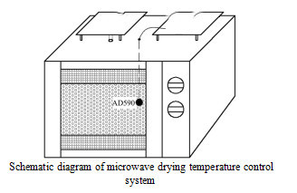 Microwave drying characteristics and drying model of longan pulp
